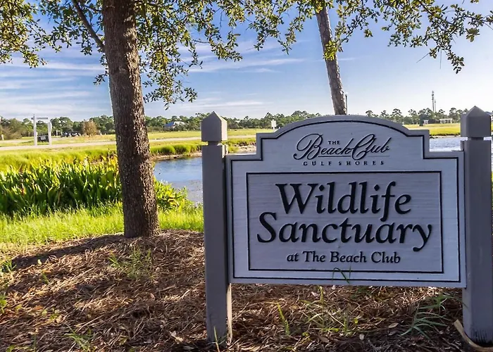 Bristol 1703 Beachfront Luxury-stunning Views From The 17th Floor Balcony-resort * Gulf Shores